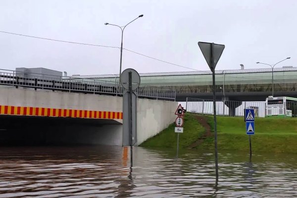 Ссылки на сайты даркнета