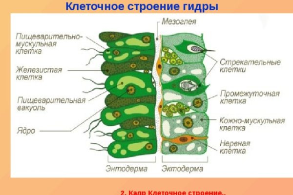 Кракен нет