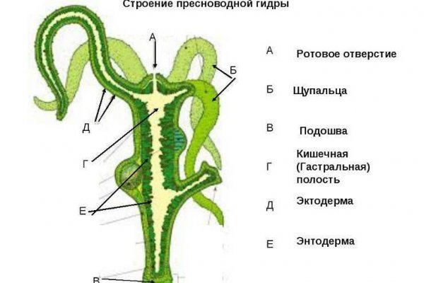 Как найти актуальную ссылку на кракен